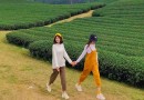 Du lịch Mộc Châu 2 ngày 1 đêm - Tiết kiệm thời gian lẫn kinh phí để tham quan được nhiều địa điểm
