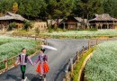 The Nordic Village Mộc Châu –  Thỏa sức tận hưởng không khí Châu Âu giữa núi rừng Tây Bắc
