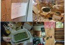 Hội Chaebol Hàn bị bắt vì mở tiệc ma túy, trồng cả cần sa trong nhà