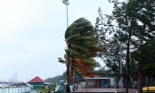 Áp thấp nhiệt đới mạnh lên thành bão số 6