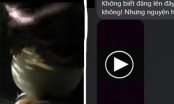 Full link clip cặp đôi làm chuyện 18+ trong công viên Lán Bè, Hạ Long: CĐM tiếp tục xin link phản cảm