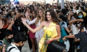 CĐM phẫn nộ vì tân Miss Grand International 'được' tặng hoa cúc vàng