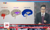 Bản tin ví von “não người – não thú” của VTV24 gây tranh cãi: Cà khịa kém duyên hay có tật giật mình