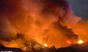 Hà Nội: Cháy lớn ở chợ Ninh Hiệp
