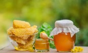 Những cách bảo quản mật ong an toàn, hiệu quả sử dụng được quanh năm!