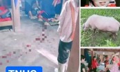 Xót xa thai phụ bị trâu 'điên' húc tử vong ở Hà Giang