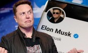 Elon Musk cân nhắc mở tài khoản người dùng Twitter bị cấm vĩnh viễn như cựu Tổng thống Donald Trump