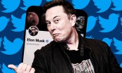 Vừa lên làm chủ, tỷ phú Elon Musk đã cảnh báo Twitter có thể phá sản