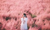 Đồi cỏ hồng Đà Lạt – Địa điểm check-in đẹp như Hàn Quốc vào những ngày mùa đông