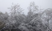 Ngày rét nhất trước Tết Âm lịch: Đỉnh Mẫu Sơn chìm trong băng tuyết, Hà Nội chỉ còn 9 độ
