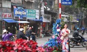Người dân Thủ đô 'đổ xô' check-in với những cây cột điện 'nở hoa' trên phố cổ