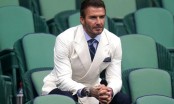 Sau EURO, David Beckham tiếp tục gây náo loạn khi đi xem quần vợt: Vẻ đẹp nam tính hút hồn không cưỡng nổi!