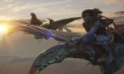 'Avatar 2' soán ngôi 'Top Gun 2' trở thành phim điện ảnh có doanh thu cao nhất năm 2022