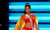 Tình hình đáng lo ngại của Ngọc Châu hậu Miss Universe: Không có hoạt động cá nhân?