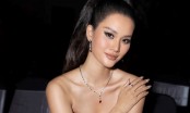 Rộ tin Hương Ly thay thế Á hậu Lê Thảo Nhi đến Miss Universe 2023