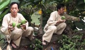 NS Hoài Linh khoe vườn nhà có loại cây quý mọc trái đột biến khiến dân mạng trả giá hàng tỷ đồng