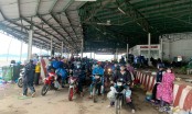 Đà Nẵng thuê xe khách chở miễn phí hàng nghìn người miền Nam hồi hương về Hà Nội