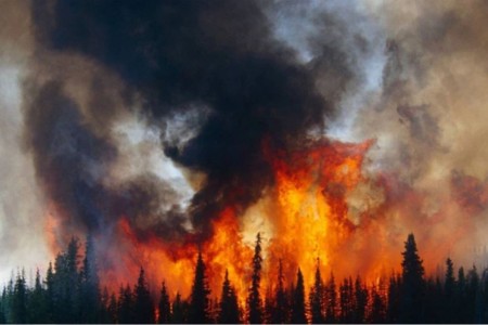 Cháy rừng khổng lồ ở Siberia: Đám cháy khủng khiếp lan tới tận Bắc Cực