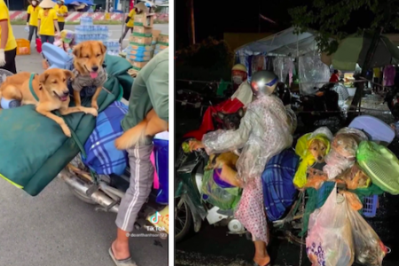 Thực hư thông tin đàn chó của đôi vợ chồng chở xe máy về quê bị tiêu huỷ