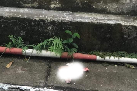 Nghệ An: Nam sinh rơi từ tầng 26 khách sạn Mường Thanh xuống đất tử vong