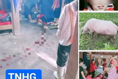 Xót xa thai phụ bị trâu 'điên' húc tử vong ở Hà Giang