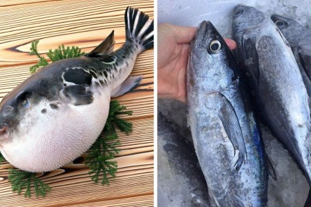 Khi đi chợ, đừng bao giờ chọn 6 loại cá này vừa phí tiền lại rước bệnh về cho cả gia đình