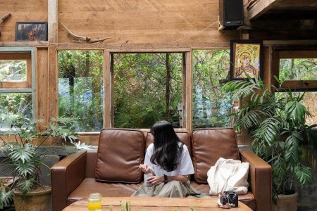 5 quán cafe Đà Lạt nằm giữa rừng không thể không mê