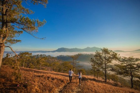 Kinh nghiệm săn mây Đà Lạt và 5 địa điểm săn mây vừa miễn phí vừa có ảnh đẹp mang về