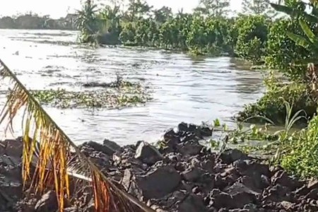 Vĩnh Long: Sạt lở kinh hoàng khiến 12 nhà dân rơi xuống sông trong đêm