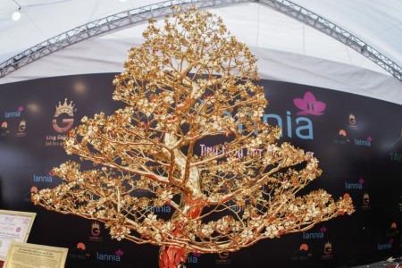 Chiêm ngưỡng cây mai mạ vàng 3m, nặng 228kg trị giá 6 tỷ đồng rầm rộ trên MXH mấy ngày nay