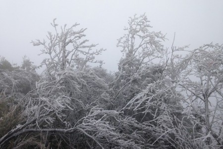 Ngày rét nhất từ đầu mùa đông: Đỉnh Mẫu Sơn chìm trong băng tuyết, Hà Nội chỉ còn 9 độ