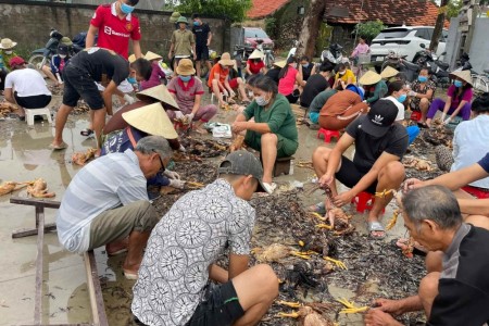 Nghệ An: Cả xóm giúp 1 gia đình làm thịt 4000 con gà chết do mưa lũ