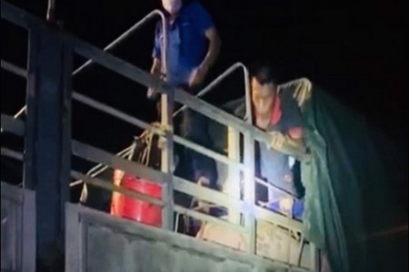 Quảng Ninh: Phát hiện 20 người trốn trong xe chở lợn để “trốn” chốt kiểm soát dịch Covid-19