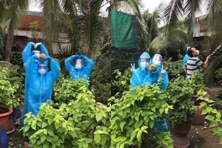 TP HCM: Vui mừng vì cả xóm có kết quả âm tính, chủ nhà tự tay hái dừa tặng lực lượng chống dịch
