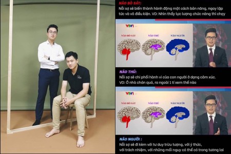 Vụ bản tin “não người - não thú” của VTV24: MC Trần Ngọc lên tiếng bênh vực BTV bị chỉ trích