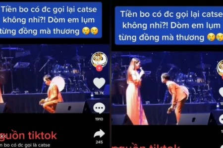 Clip Hồ Văn Cường nhặt tiền trên sân khấu khi diễn cùng Phi Nhung khiến cộng đồng mạng tranh cãi gay gắt