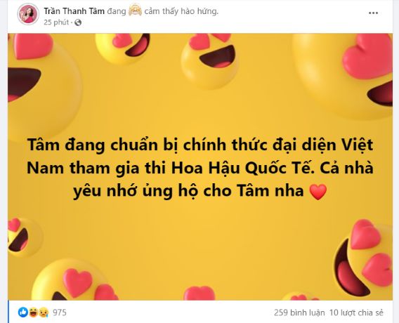 Tran-Thanh-Tam-du-thi-hoa-hau-quoc-te