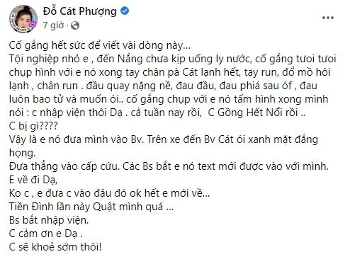 cat-phuong-nhap-vien-2