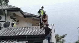 Đi ăn trộm nhưng sợ chó, gã đàn ông “bất hạnh” phải trèo lên mái nhà và đợi cảnh sát đến “cứu”