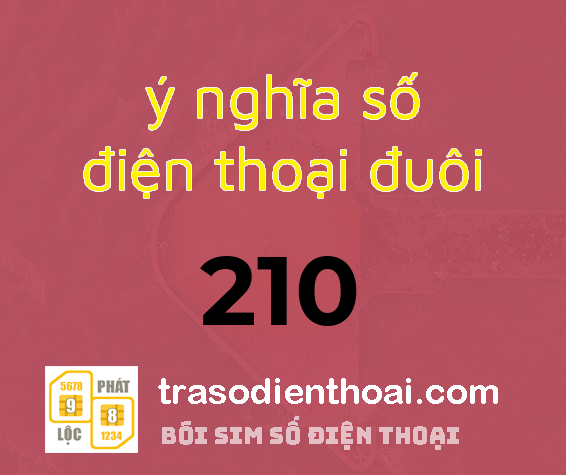 duoi-so-210-co-y-nghia-phat-tai-mai-mai