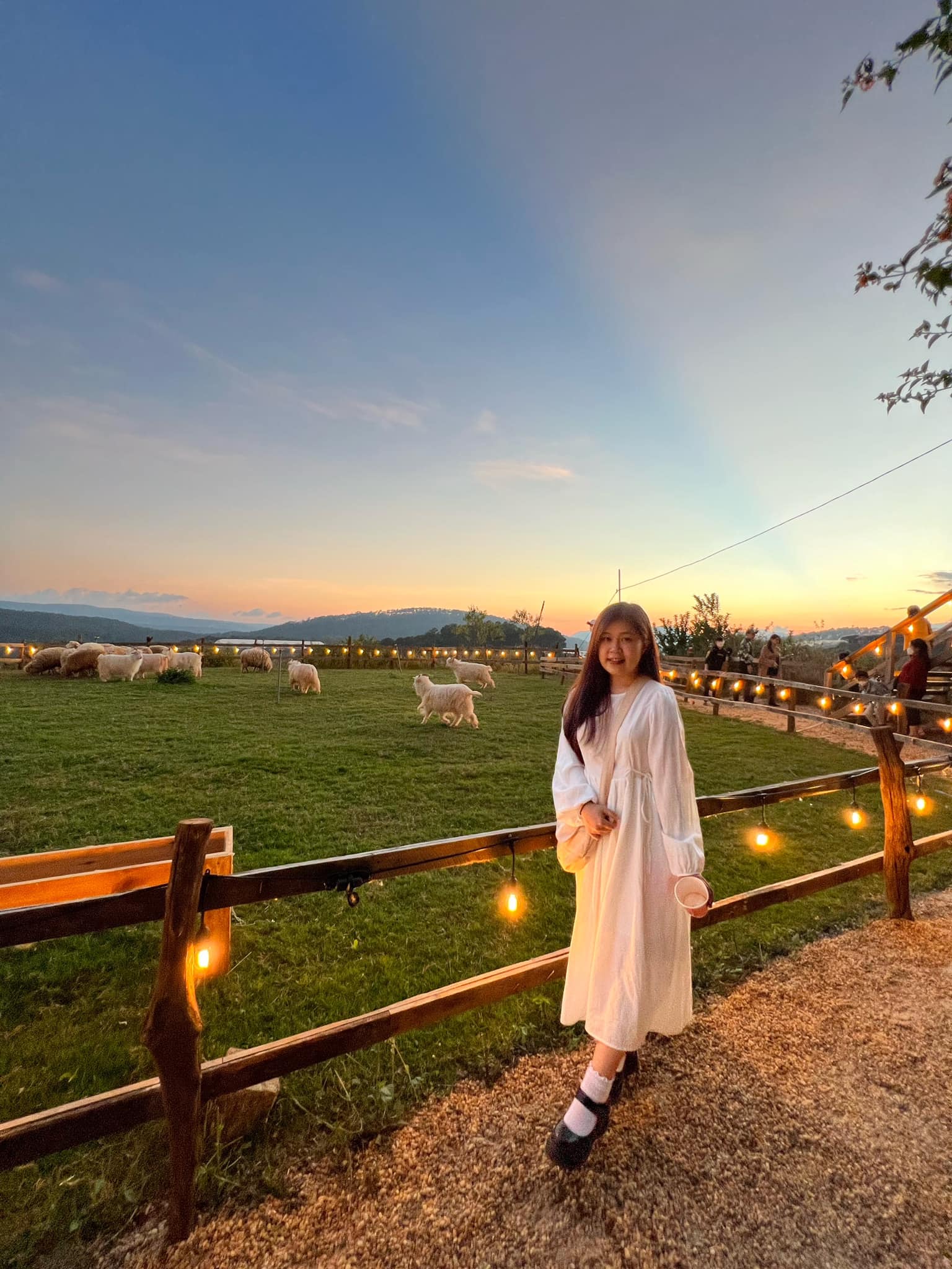 Chika Farm Đà Lạt - Quán cafe nông trại cừu hot nhất đầu 2022