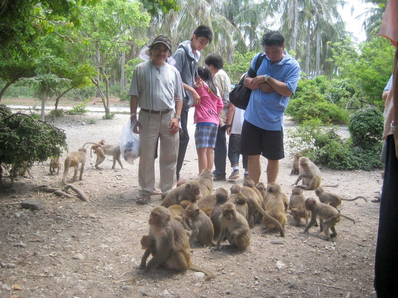 Du khách chụp ảnh cùng chú khỉ trên đảo. (Nguồn ảnh: Internet)