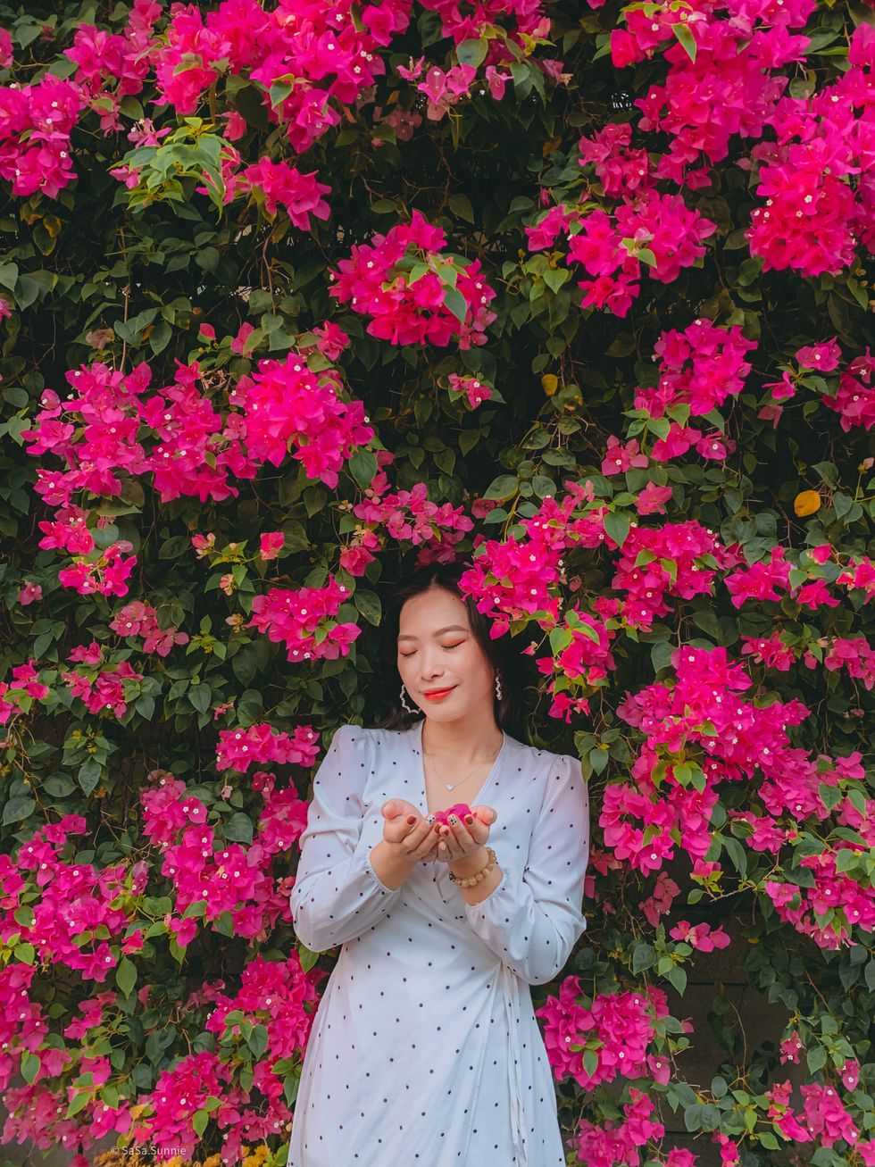 Con đường hoa giấy Sài Gòn nở rộ đẹp tựa chốn cổ tích