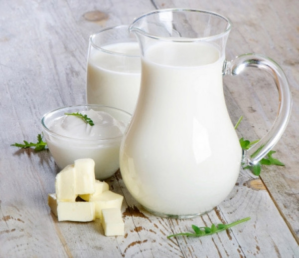 sua-tot-cho-suc-khoeThực phẩm giàu protein từ sữa và các chế phẩm từ sữa0-0-0-0-1522661738