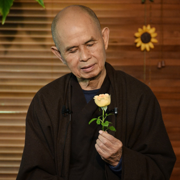 Thiền sư Thích Nhất Hạnh đã viết hơn 100 cuốn sách, trong đó hơn 40 cuốn bằng tiếng Anh