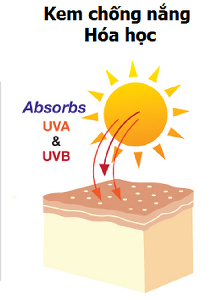 Sunscreen (Kem chống nắng hóa học)