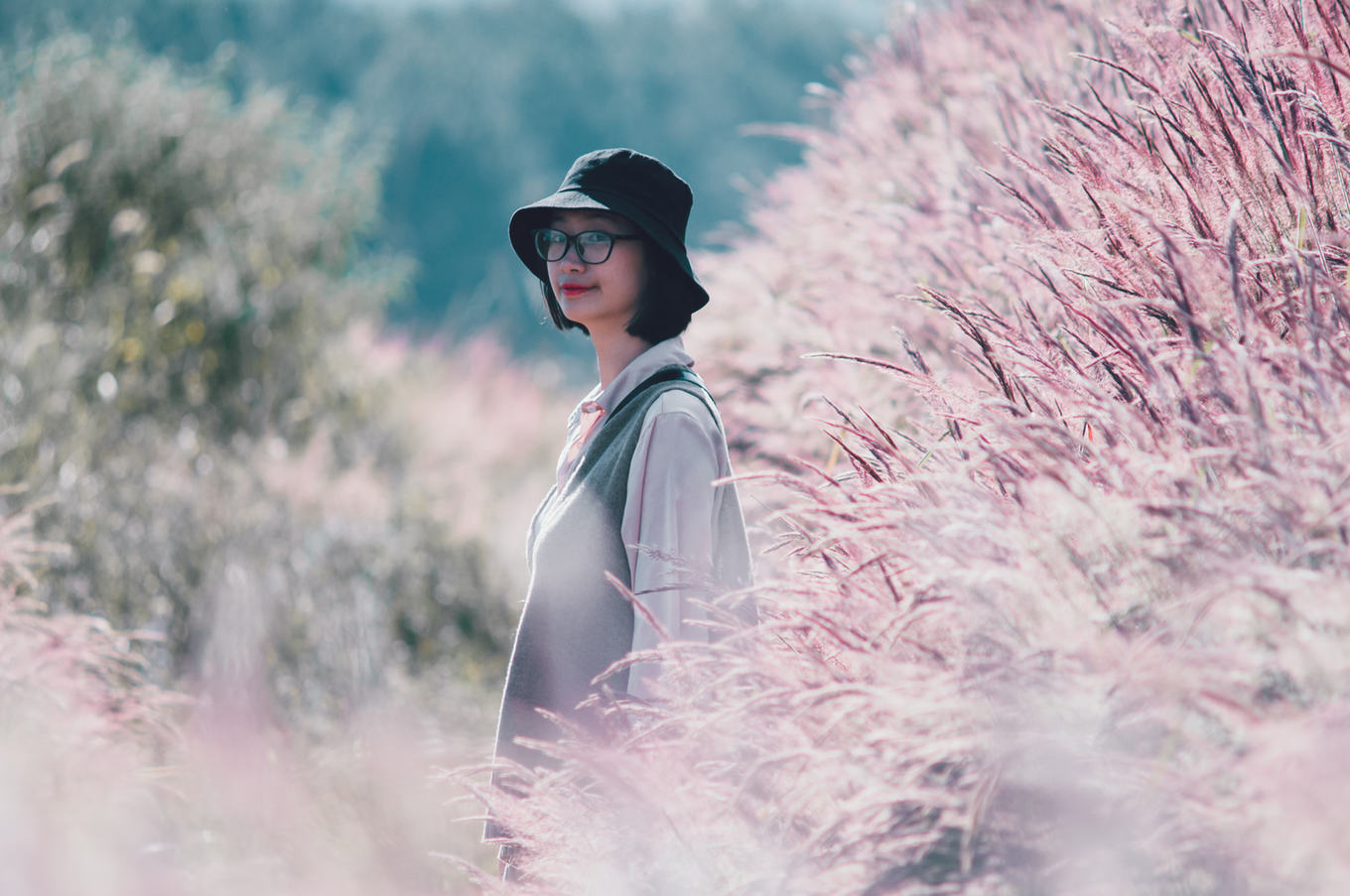 Đồi cỏ hồng đẹp như trong phim Hàn Quốc 
