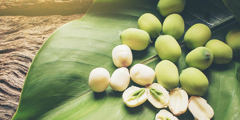 Hạt sen – đặc sản Huế thơm bùi, tốt cho sức khỏe
