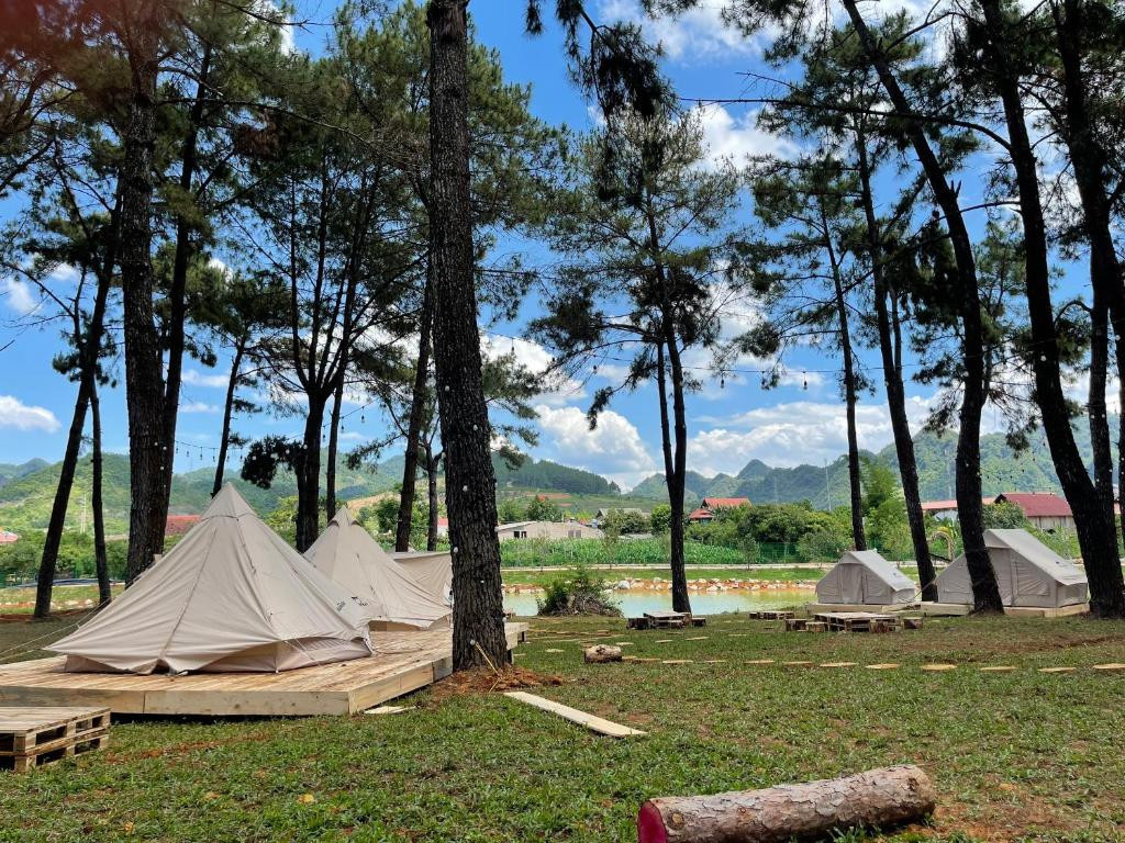 Hơn thế nữa, Phoenix Camp Ground là khu vực cắm trại duy nhất tại Mộc Châu