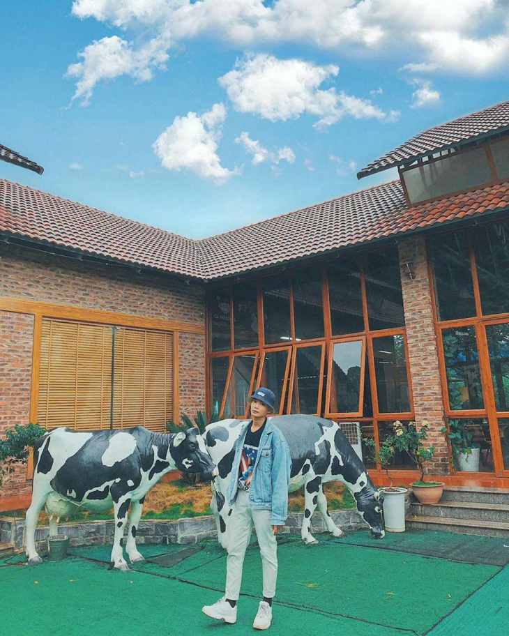 Mùa nào cũng thích hợp để đi trang trại Dairy Farm Mộc Châu 